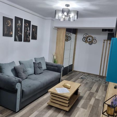 Luxury Apartments Bacău Exteriér fotografie