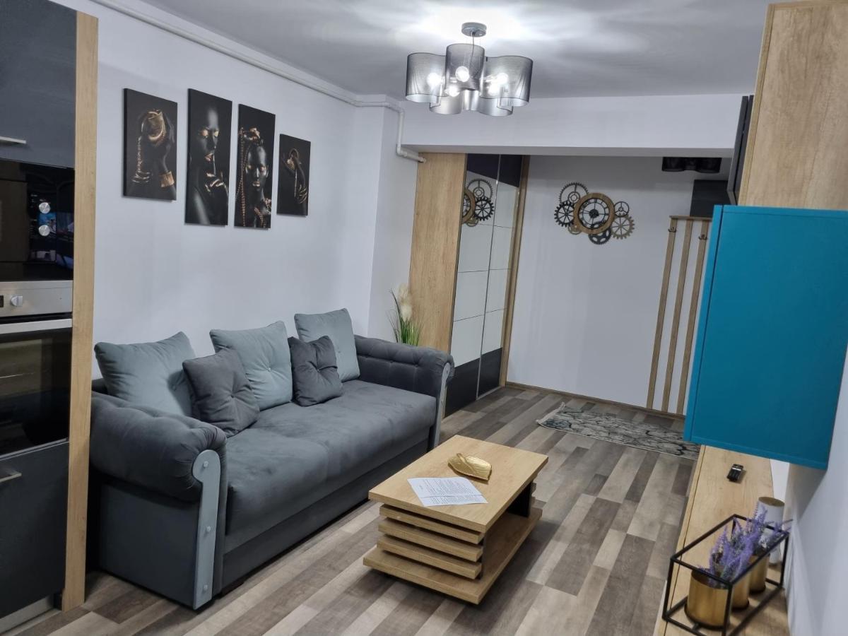 Luxury Apartments Bacău Exteriér fotografie