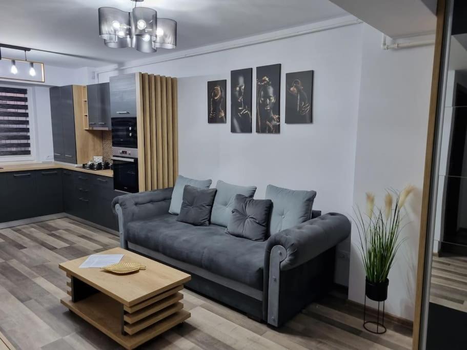 Luxury Apartments Bacău Exteriér fotografie